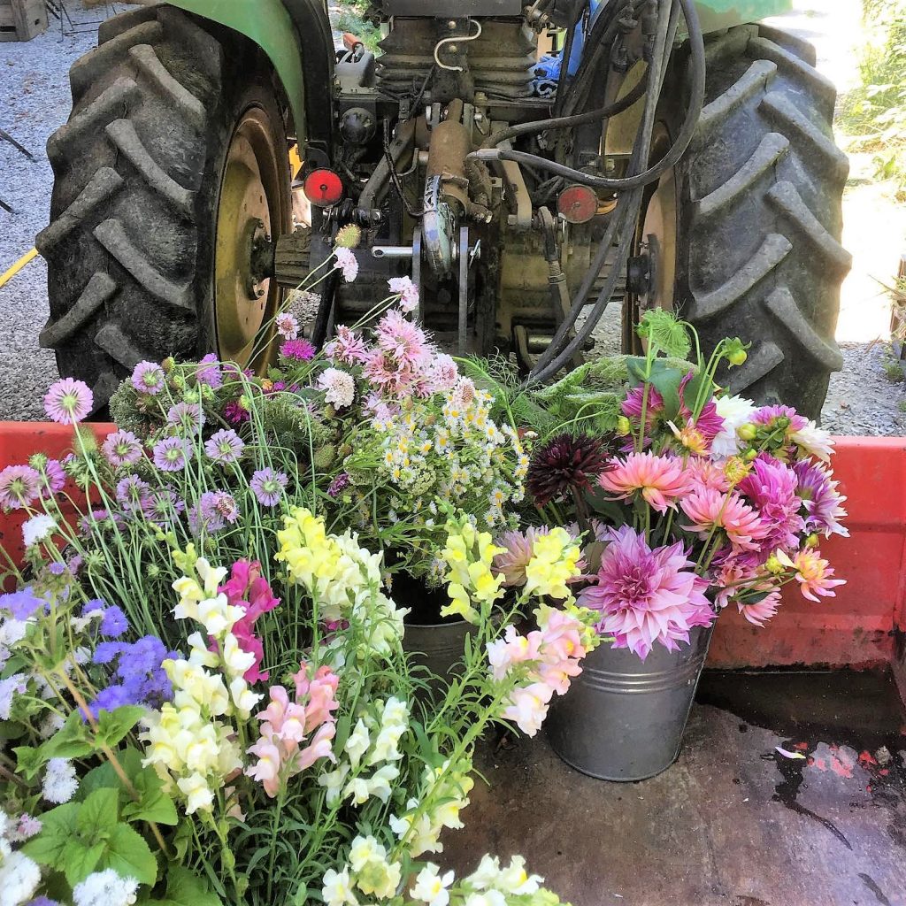 Traktor mit Blumen