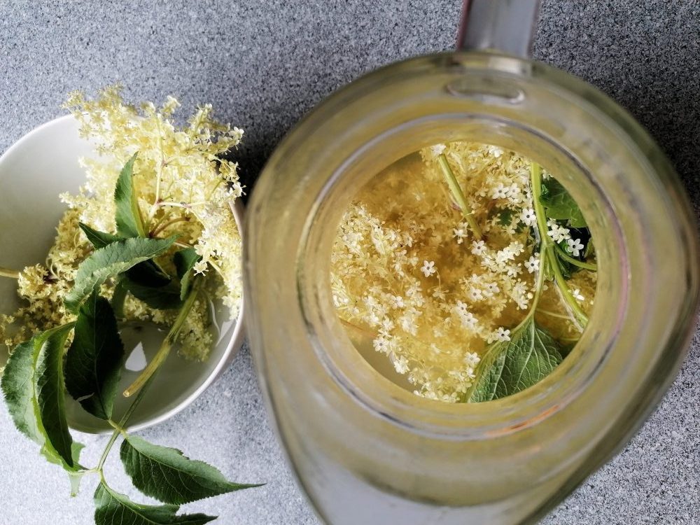Krug mit Holunderblüten