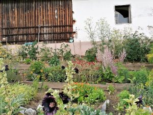 Küchengarten