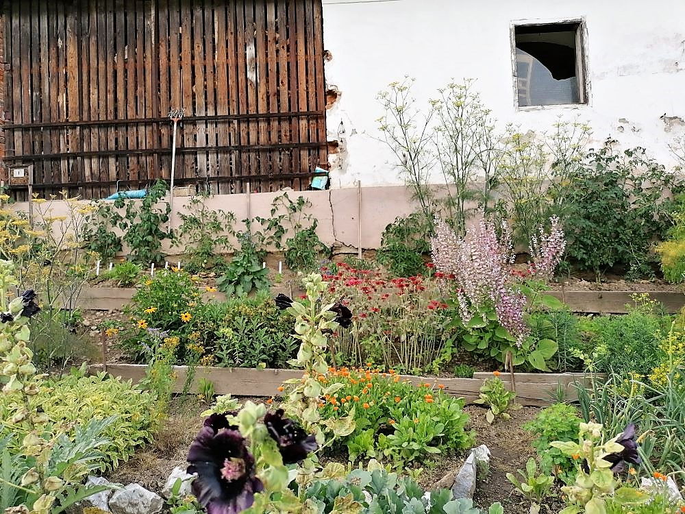 Küchengarten