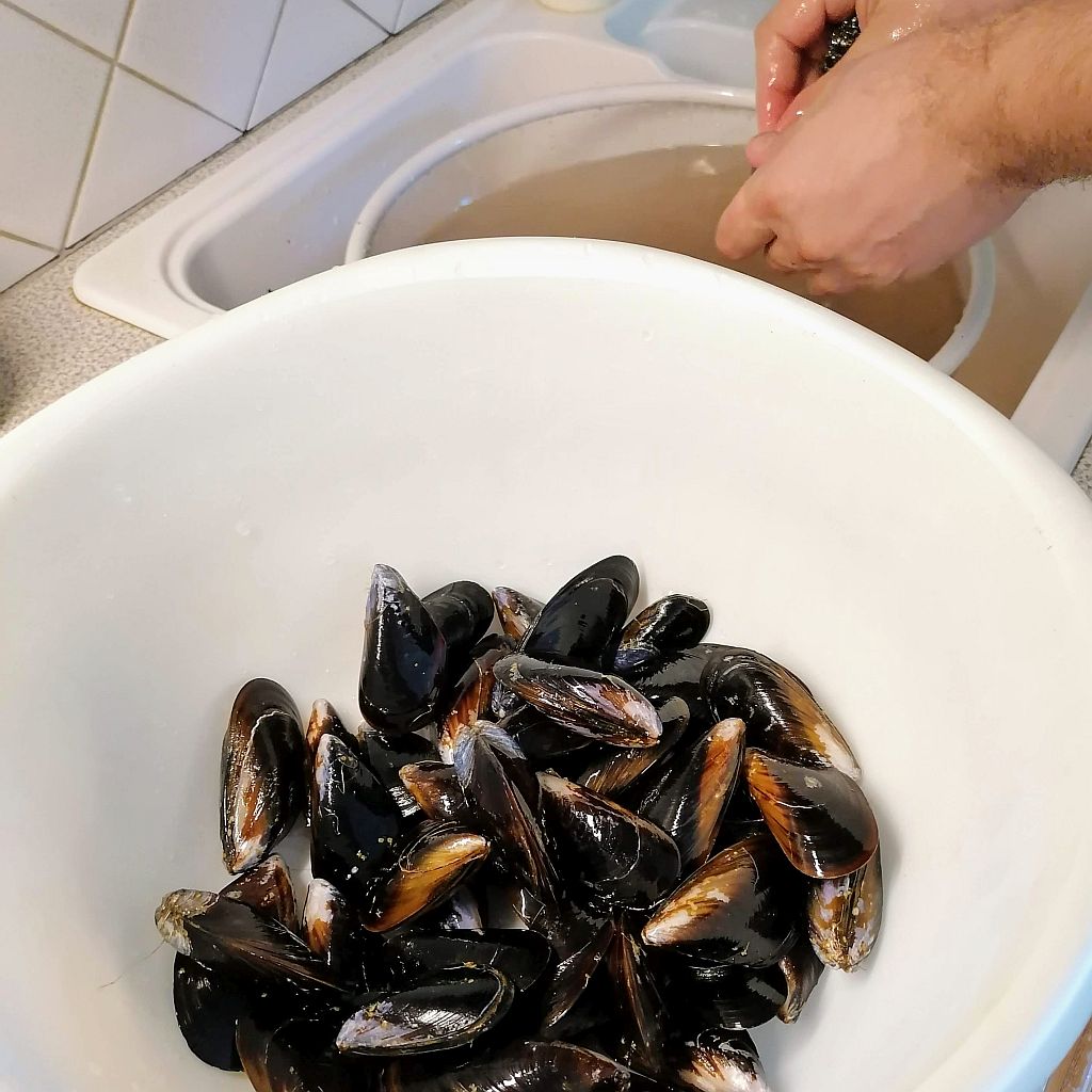 Cozze