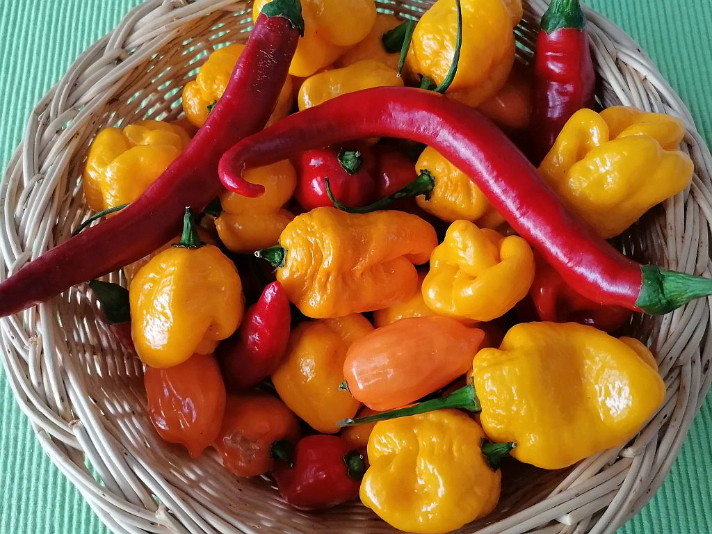 Chili gemischt