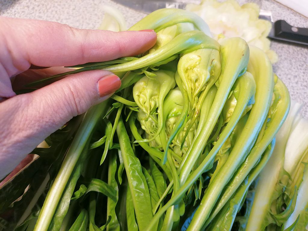 Herz Puntarelle