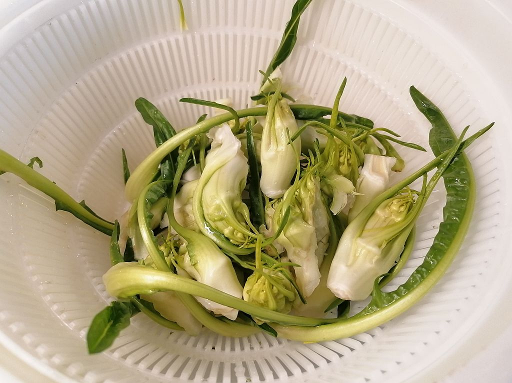 Puntarelle