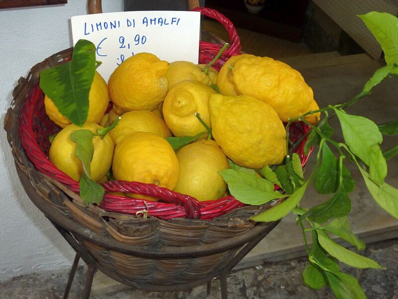 Zitronen aus Amalfi