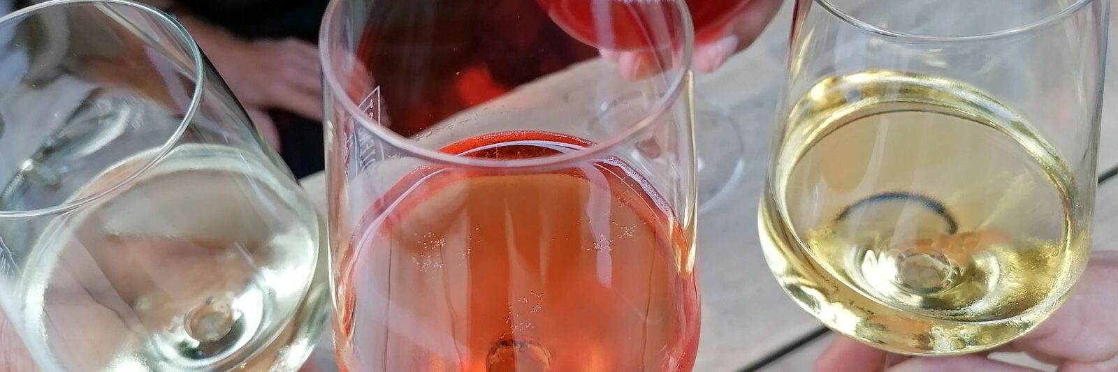 Anprosten mit verschiedenen Weinen