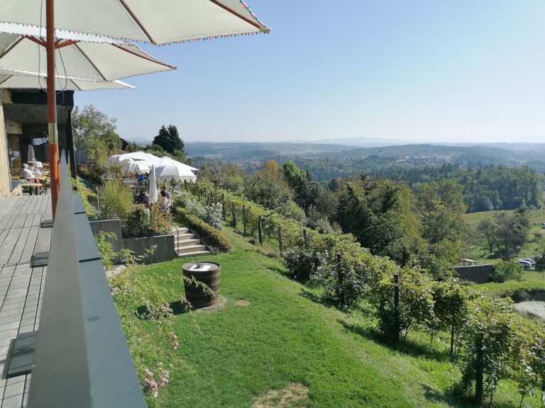Ausblick HerrgottHö