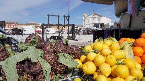 Artischocken und Zitronen