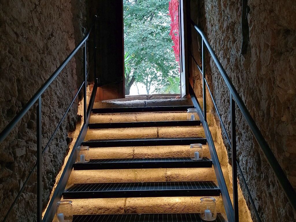 Kellertreppe zum Biowein