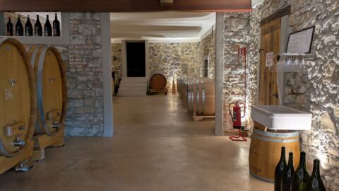 Barriquekeller Tenuta Stella