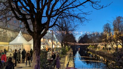 Lendhafen Klagenfurt Hafenknistern