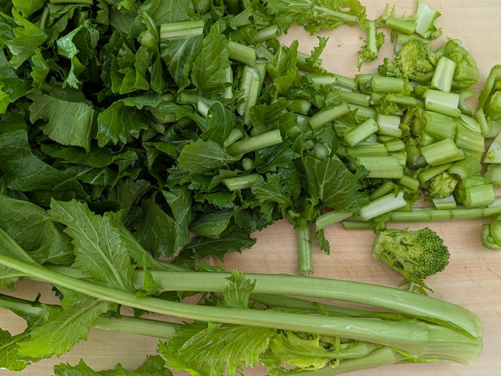Cime di rapa/Stängelkohl