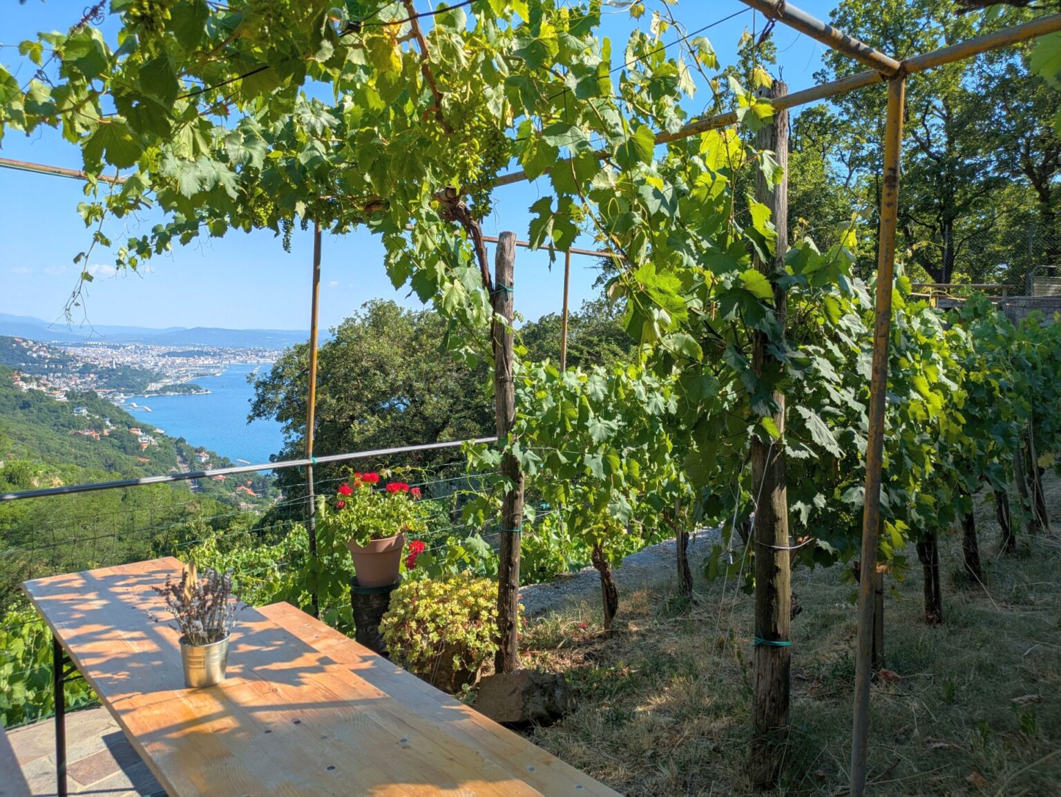 Osmiza mit Meerblick im Karst