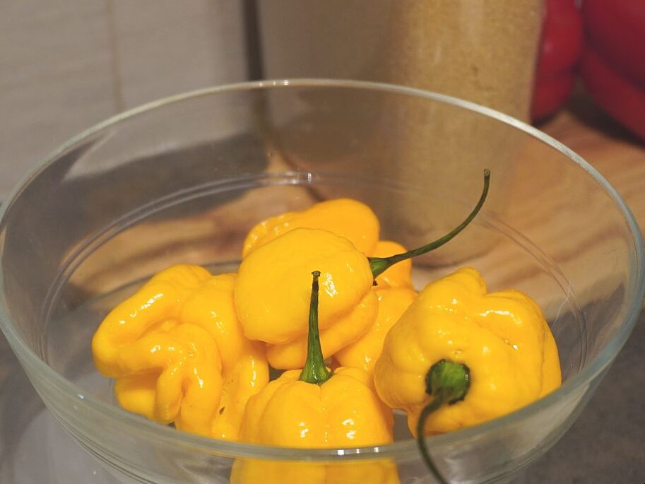 Scorpion Chili